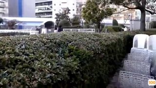 五月重磅福利女神的娇喘 网红美女林幼一与杉菜双人大尺度 舌吻